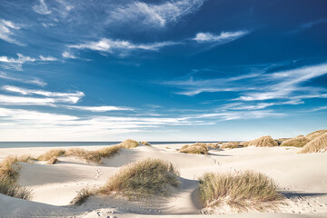 White sands of northern Denmark. High quality photo - obrazy, fototapety, plakaty