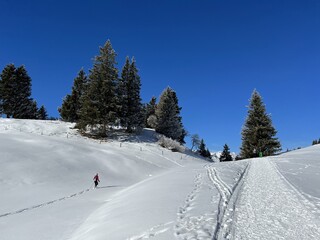 Excellently arranged and cleaned winter trails for walking, hiking, sports and recreation in the area of the tourist resorts of Valbella and Lenzerheide in the Swiss Alps -  Switzerland (Schweiz)