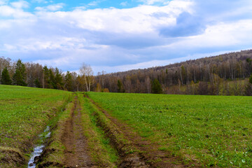 South Ural forest road with a unique landscape, vegetation and diversity of nature.