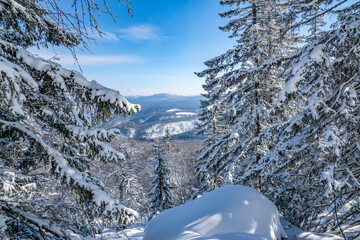 Winter beauty in the Ural taiga