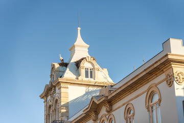 Fototapeta na wymiar Stork on the tower of Belmarco Palace - Faro landmark, Algarve, Portugal