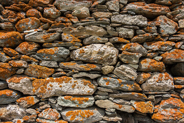 Rock wall texture covered of orange moss