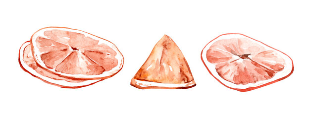 Dried orange isolated on white background. A slice of dried orange. watercolor hand drawn illustration