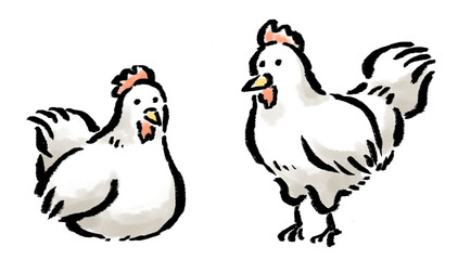 ニワトリ（雌鳥）のイラスト