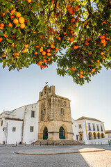 Downtown of Faro with Se Cathedral in the morning with orange tree in the foreground, Portugal