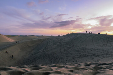 Dunes au coucher du soleil - obrazy, fototapety, plakaty