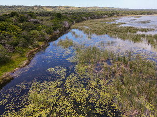 Fototapeta na wymiar Landscape of Isimangaliso wetland park on South Africa