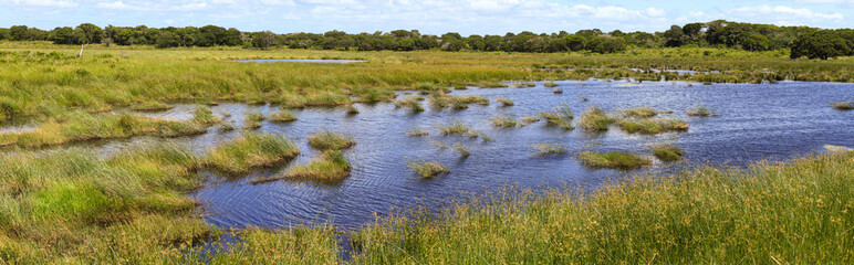 Landscape of Isimangaliso wetland park on South Africa