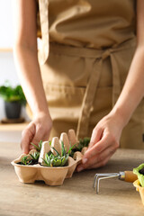 Growing plants in egg box, creative way to grow plants
