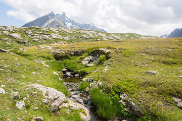 Green mountain landscape in summer. This was a hike in the Alps to Mount Cenis Lake