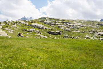 Naklejka premium A group of people is taking a break in a green meadow before hiking again to the to the Mount Cenis Lake during summer.