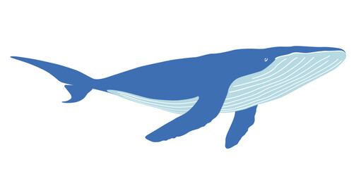 Vector Whale Flat Silhouette Illustration Isolated On A White Background.