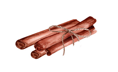 Cinnamon sticks hand painting watercolor illustration closeup isolated on white background
