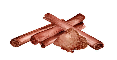 Cinnamon sticks hand painting watercolor illustration closeup isolated on white background