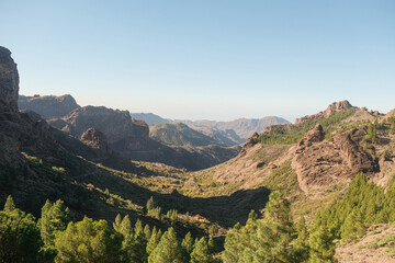 Fototapeta na wymiar Wild volcanic landscape view with pine trees, cliffs and rock formations in Pico de las Nieves, Tejeda, Gran Canaria. Sunny and clear day