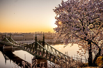 Budapest spring with sunrise.