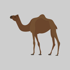 A beautiful camel vector artwork