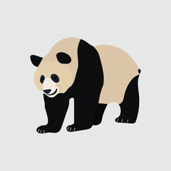 A beautiful panda vector artwork