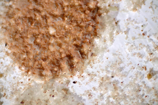 Microplastics inside the soil observed under a 40x microscope macro lens in an environmental health laboratory. This image represents non-recyclable plastic particles contaminating agricultural soil. 
