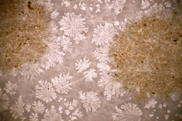 Analysis morphology of microplastic waste contaminated in soil and water sample full of plastic particles. The microscope of flakes type plastics with macro 40x lens environmental health laboratory.