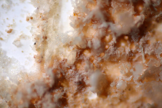 Microplastics inside the soil observed under a 40x microscope macro lens in an environmental health laboratory. This image represents non-recyclable plastic particles contaminating agricultural soil. 