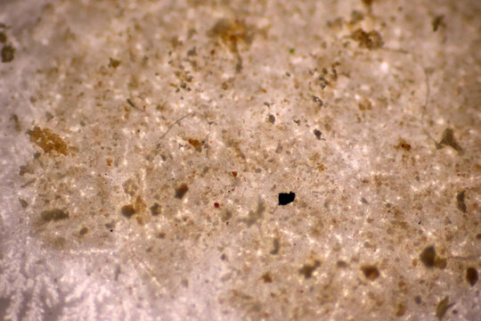 Microplastics inside the soil observed under a 40x microscope macro lens in an environmental health laboratory. This image represents non-recyclable plastic particles contaminating agricultural soil. 