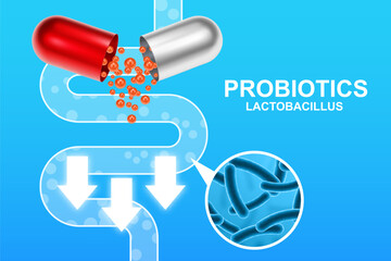 Probiotics banner template. Probiotic in capsule with digestive system. Microbiome elements with medical pill. Half parts with probiotics granules. EPS10 vector