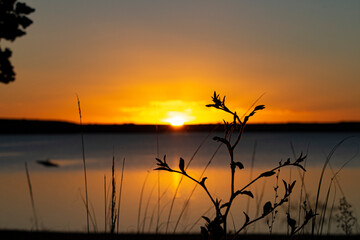 Fototapeta premium sunset on the lake