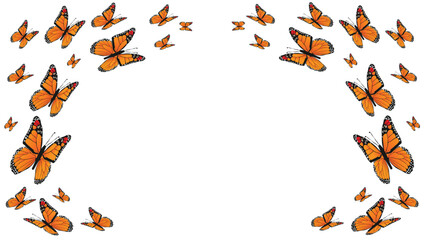 Beautiful monarch butterfly wallpaper on white transparent background 