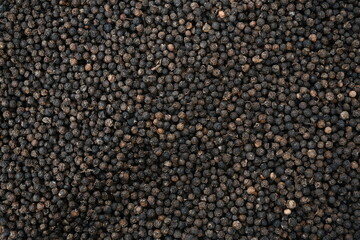 Black pepper background. black peppercorns spices. herb. bed covered in full screen. Dry black pepper seeds. Top view. Flat design. Macro spice background
