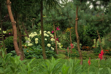 Beautiful garden / eden / piękny ogród - obrazy, fototapety, plakaty
