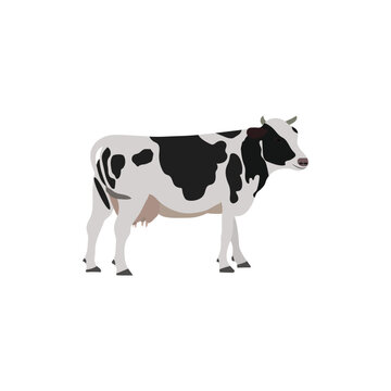 A beautiful cow vector artwork