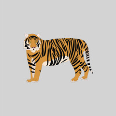  A beautiful tiger vector artwork