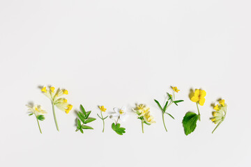 Spring grass and flowers creative flatlay, botanical background, yellow, white wild flower and...