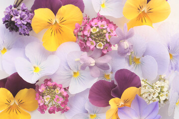 floral colorful background. design element