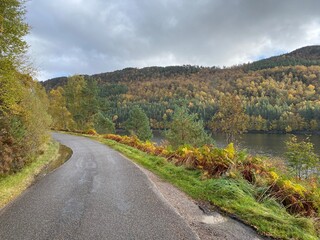 Naklejka premium Glen Affric, écosse