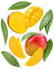 Ripe mango fruit isolated on white background. Mango composition with clipping path. Mango macro studio photo