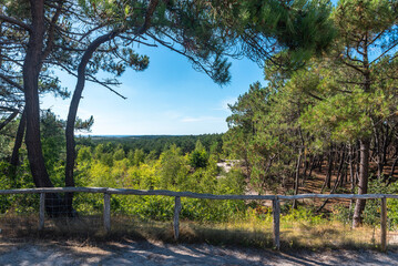 Aussichtspunkt im Naturschutzgebiet Schoorlser Dünen bei Schoorl. Provinz Nordholland in den Niederlanden