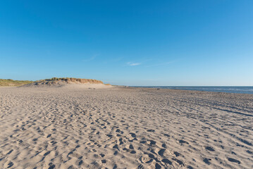 Fototapeta na wymiar Strand von Schoorl - Camperduin. Provinz Nordholland in den Niederlanden