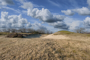 Nature reserve Amsterdamse Waterleidingduinen, Noord-Holland province, The Netherlands