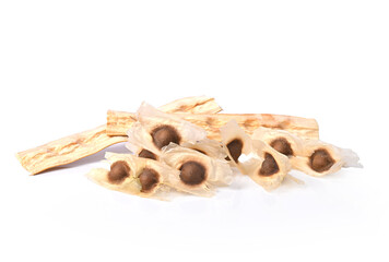 Moringa Oleifera seed dried from Moringa tree on white background
