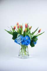 bouquet de tulipes jaune et orange, hortensia bleu, vase transparent, vertical fond gris