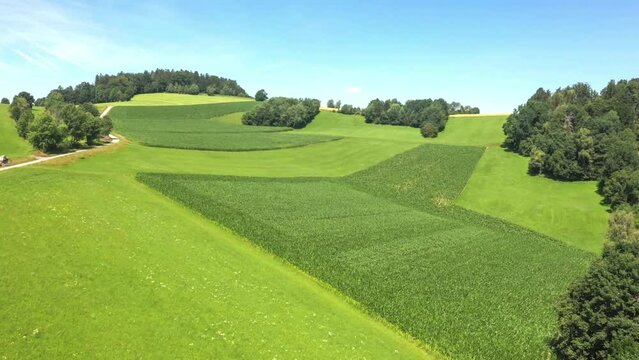 Filmmaterial der saftig gr&uuml;nen Natur Landschaft des Bayerischen Wald bei Grafenau mit Wiesen Felder und Bergen im Sommer im Sonnenlicht und blauem Himmel, Deutschland