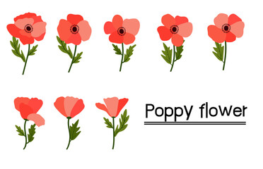 red poppies on white background