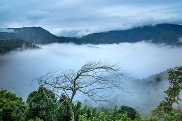 Obraz na płótnie Canvas Beautiful landscape with fog and mountain in Ta Xua, Son La, Vietnam