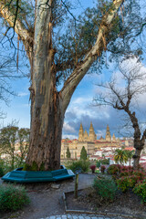 View of the cathedral of Santiago de Compostela from the Alameda park at sunset, in Galicia, Spain