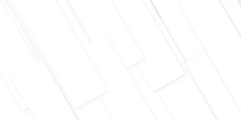 Abstract background with lines white color and vector with geometric design in illustration .soft shadow on neutral light whit textured background.3d architecture pattern design . white paper texture