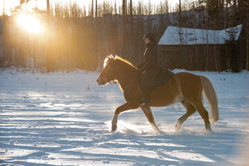 Woman horseback riding in winter sunset