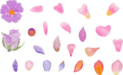 Set of vector watercolor cute flower petals