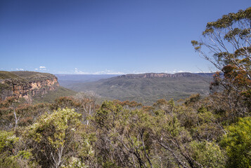 View of the Jamison Valley by The Three Sisters, Blue Mountains, Katoomba, New South Wales, Australia